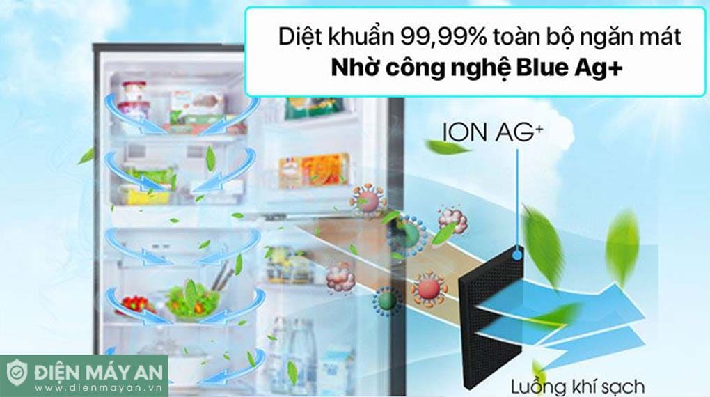 Tủ lạnh Panasonic Inverter 268 lít NR-TV301VGMV